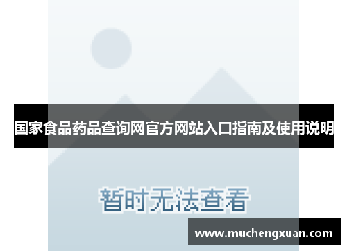 国家食品药品查询网官方网站入口指南及使用说明