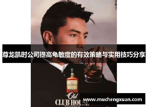 尊龙凯时公司提高龟敏度的有效策略与实用技巧分享