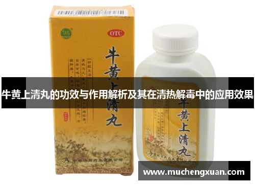 牛黄上清丸的功效与作用解析及其在清热解毒中的应用效果