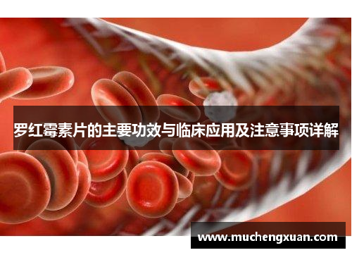 罗红霉素片的主要功效与临床应用及注意事项详解