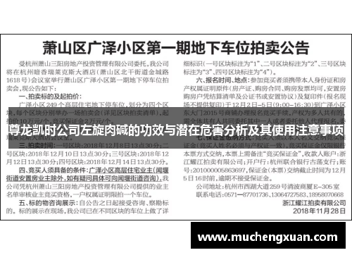 尊龙凯时公司左旋肉碱的功效与潜在危害分析及其使用注意事项