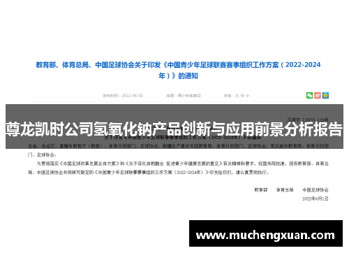 尊龙凯时公司氢氧化钠产品创新与应用前景分析报告