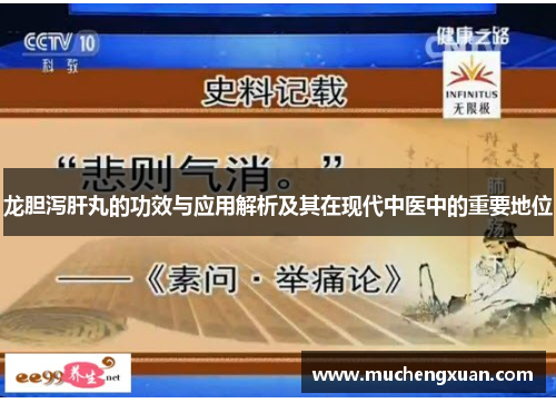 龙胆泻肝丸的功效与应用解析及其在现代中医中的重要地位