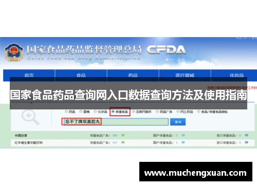 国家食品药品查询网入口数据查询方法及使用指南