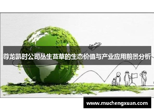 尊龙凯时公司丛生苔草的生态价值与产业应用前景分析