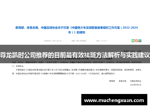 尊龙凯时公司推荐的目前最有效祛斑方法解析与实践建议