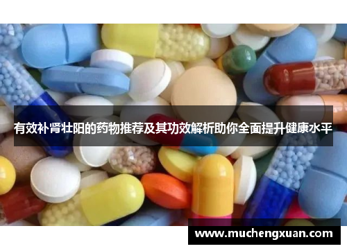 有效补肾壮阳的药物推荐及其功效解析助你全面提升健康水平