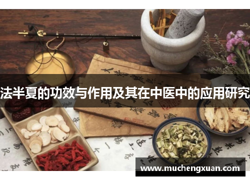 法半夏的功效与作用及其在中医中的应用研究